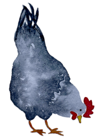 Aquarell pickendes Huhn